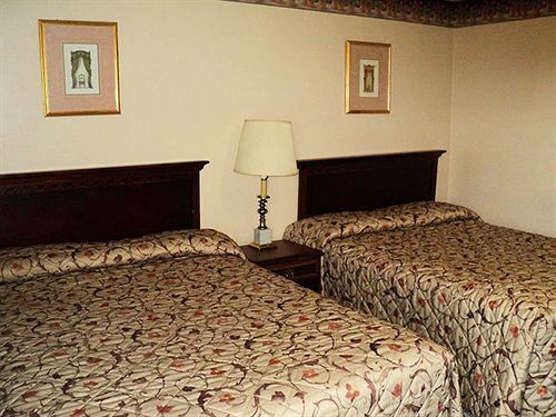 Richard Lake Motel Coniston Dış mekan fotoğraf