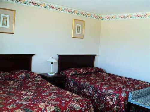 Richard Lake Motel Coniston Dış mekan fotoğraf