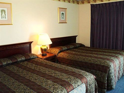 Richard Lake Motel Coniston Dış mekan fotoğraf